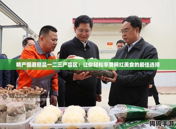 精产国蘑菇品一二三产品区：让你轻松享受网红美食的最佳选择