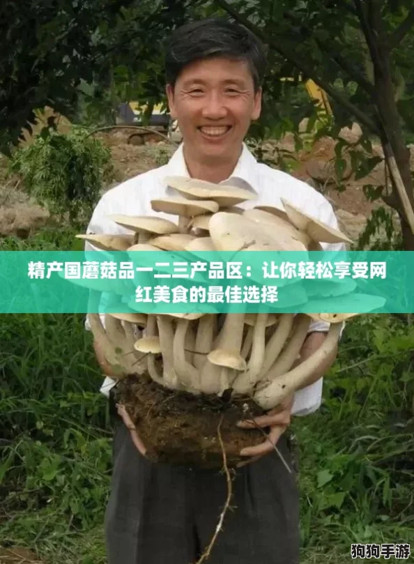精产国蘑菇品一二三产品区:让你轻松享受网红美食的最佳选择 精产国蘑菇品一二三产品区:让你轻松享受网红美食的最佳选择