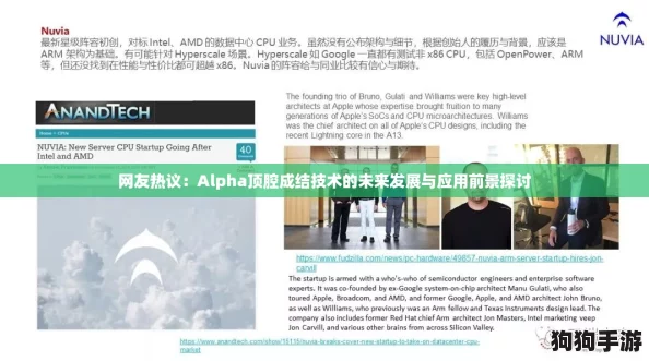 网友热议：Alpha顶腔成结技术的未来发展与应用前景探讨