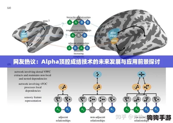 网友热议:Alpha顶腔成结技术的未来发展与应用前景探讨 网友热议:Alpha顶腔成结技术的未来发展与应用前景探讨