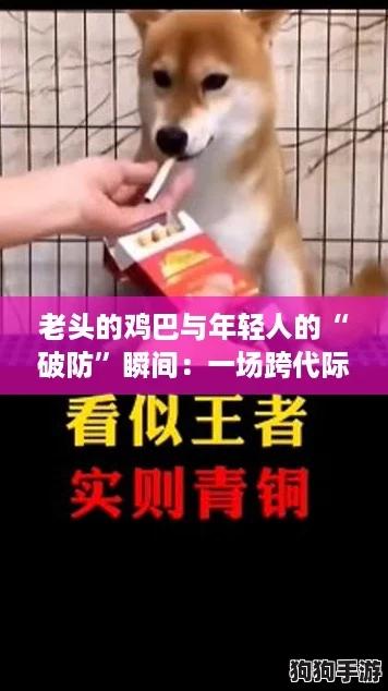 老头的鸡巴与年轻人的“破防”瞬间：一场跨代际的幽默对话