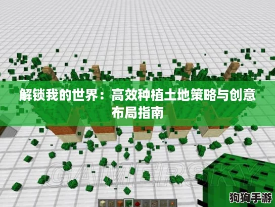 解锁我的世界：高效种植土地策略与创意布局指南