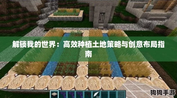 解锁我的世界：高效种植土地策略与创意布局指南