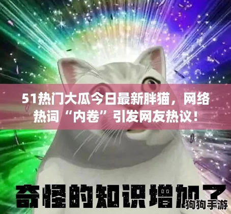 51热门大瓜今日最新胖猫，网络热词“内卷”引发网友热议！