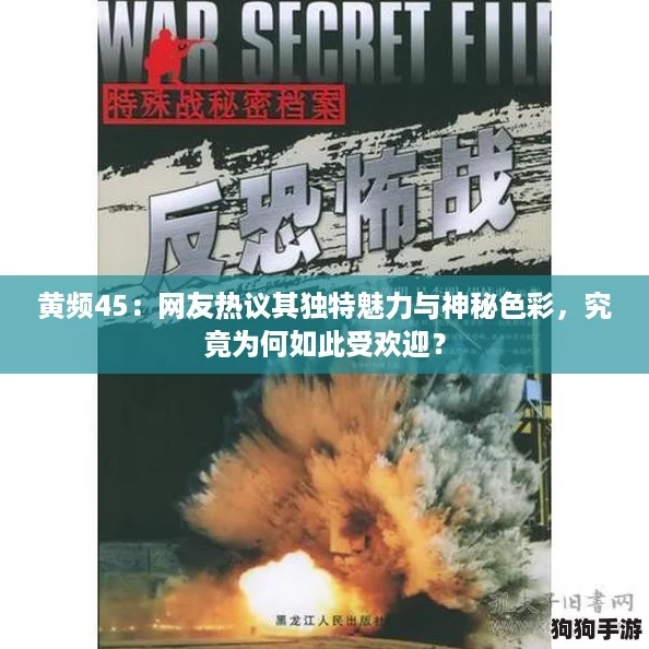 黄频45：网友热议其独特魅力与神秘色彩，究竟为何如此受欢迎？