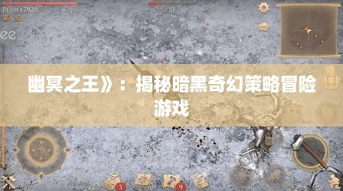 幽冥之王》：揭秘暗黑奇幻策略冒险游戏