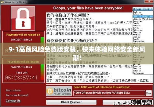 9·1高危风险免费版安装，快来体验网络安全新风潮！