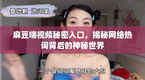 麻豆喘视频秘密入口，揭秘网络热词背后的神秘世界