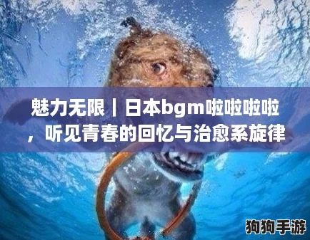 魅力无限｜日本bgm啦啦啦啦，听见青春的回忆与治愈系旋律