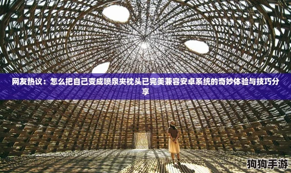 网友热议：怎么把自己变成喷泉夹枕头已完美兼容安卓系统的奇妙体验与技巧分享