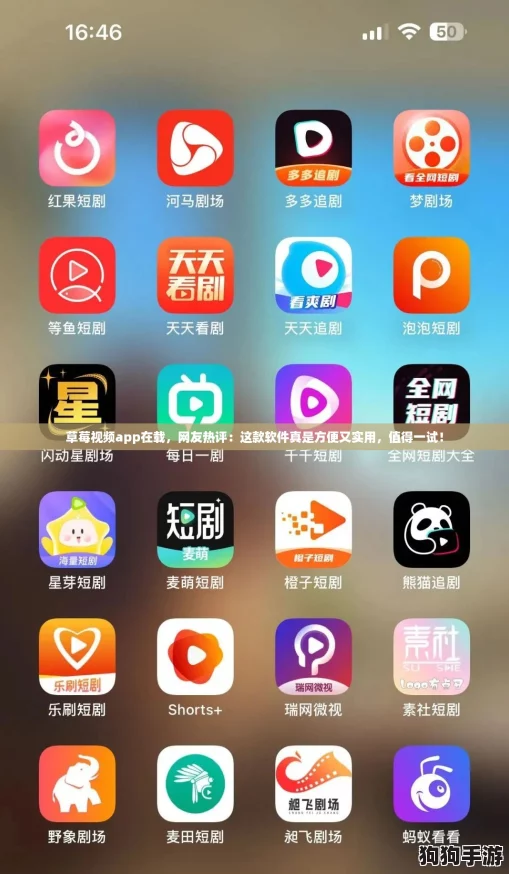 草莓视频app在载，网友热评：这款软件真是方便又实用，值得一试！