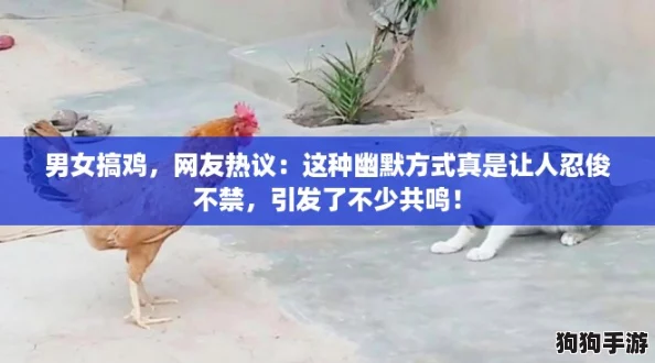 男女搞鸡，网友热议：这种幽默方式真是让人忍俊不禁，引发了不少共鸣！