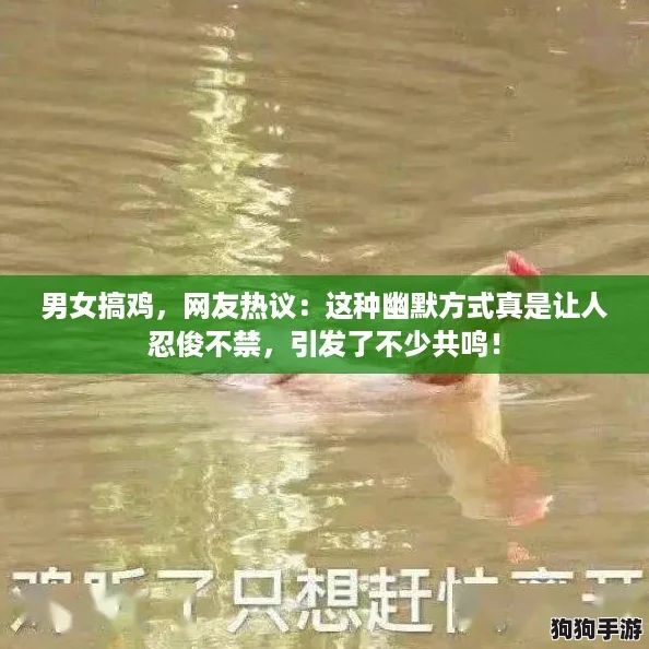 男女搞鸡，网友热议：这种幽默方式真是让人忍俊不禁，引发了不少共鸣！