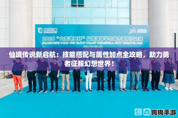 仙境传说新启航：技能搭配与属性加点全攻略，助力勇者征服幻想世界！