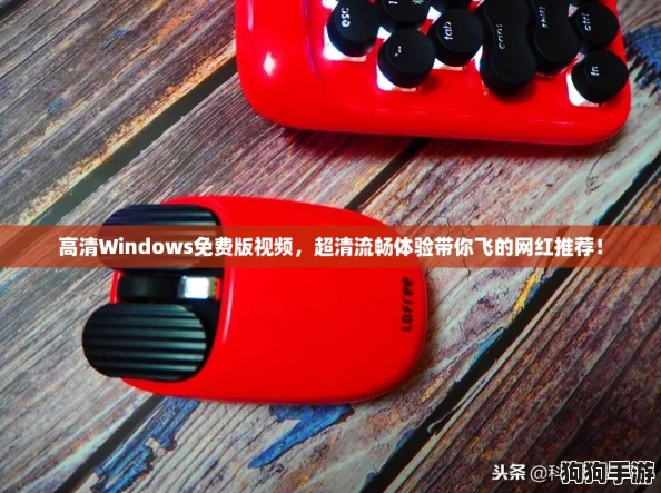 高清Windows免费版视频，超清流畅体验带你飞的网红推荐！