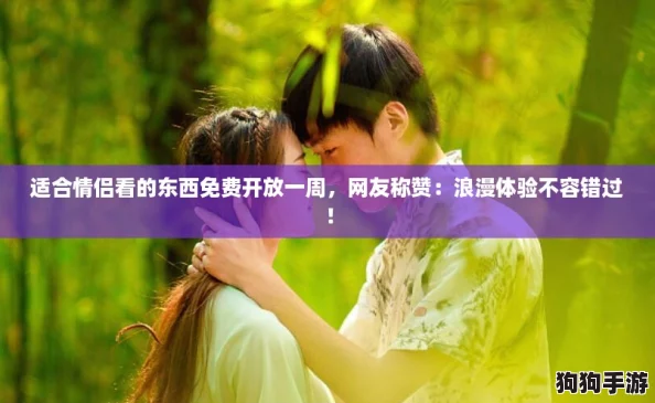 适合情侣看的东西免费开放一周，网友称赞：浪漫体验不容错过！