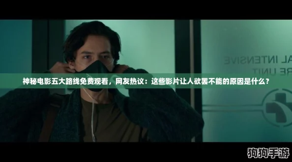 神秘电影五大路线免费观看，网友热议：这些影片让人欲罢不能的原因是什么？