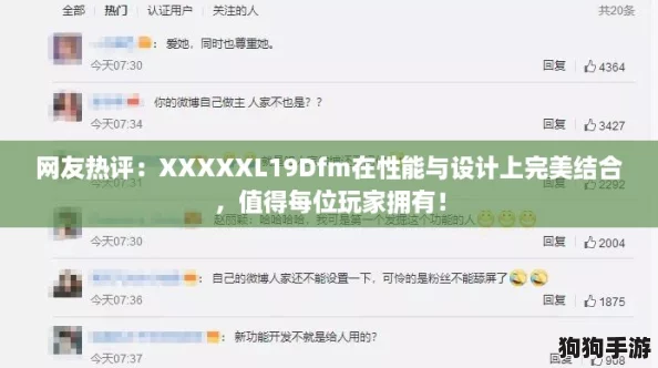 网友热评：XXXXXL19Dfm在性能与设计上完美结合，值得每位玩家拥有！