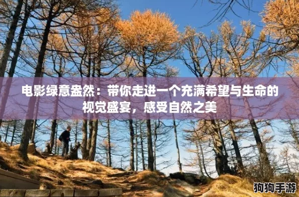 电影绿意盎然：带你走进一个充满希望与生命的视觉盛宴，感受自然之美