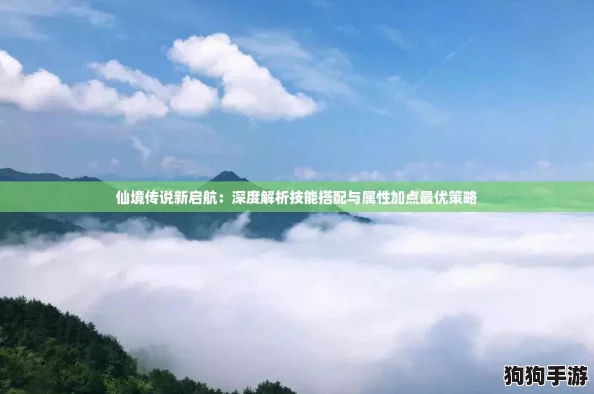 仙境传说新启航：深度解析技能搭配与属性加点最优策略