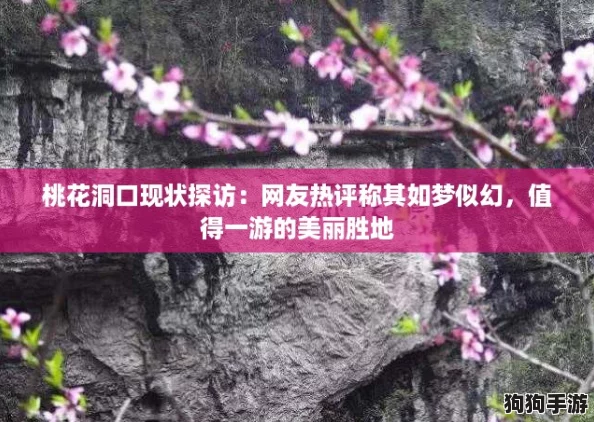 桃花洞口现状探访：网友热评称其如梦似幻，值得一游的美丽胜地