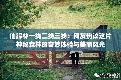 仙踪林一线二线三线：网友热议这片神秘森林的奇妙体验与美丽风光