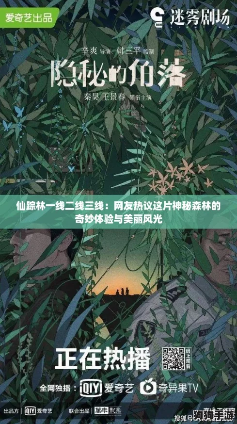 仙踪林一线二线三线：网友热议这片神秘森林的奇妙体验与美丽风光