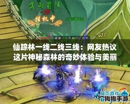仙踪林一线二线三线：网友热议这片神秘森林的奇妙体验与美丽风光