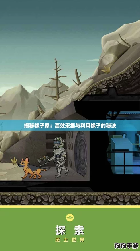 揭秘橡子屋：高效采集与利用橡子的秘诀
