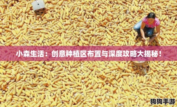 小森生活：创意种植区布置与深度攻略大揭秘！