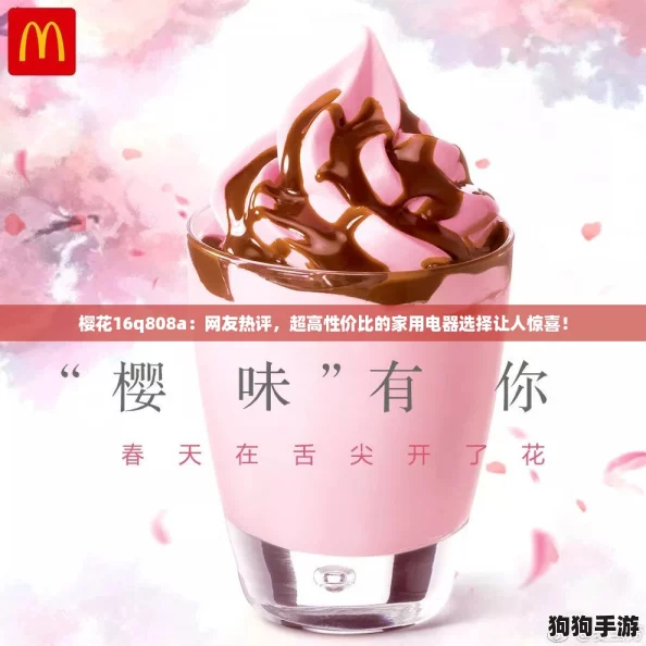 樱花16q808a：网友热评，超高性价比的家用电器选择让人惊喜！