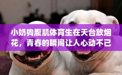 小奶狗腹肌体育生在天台放烟花,青春的瞬间让人心动不已! 小奶狗腹肌体育生在天台放烟花,青春的瞬间让人心动不已!