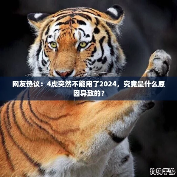 网友热议：4虎突然不能用了2024，究竟是什么原因导致的？