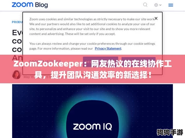 ZoomZookeeper：网友热议的在线协作工具，提升团队沟通效率的新选择！