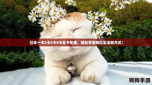 日本一卡2卡3卡4卡无卡免费，轻松享受网红生活新方式！