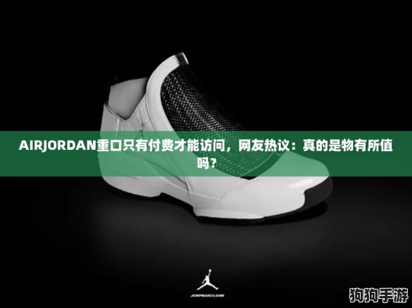 AIRJORDAN重口只有付费才能访问，网友热议：真的是物有所值吗？
