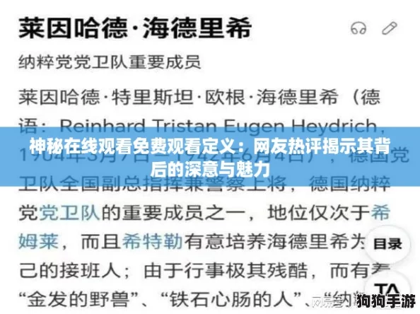 神秘在线观看免费观看定义：网友热评揭示其背后的深意与魅力
