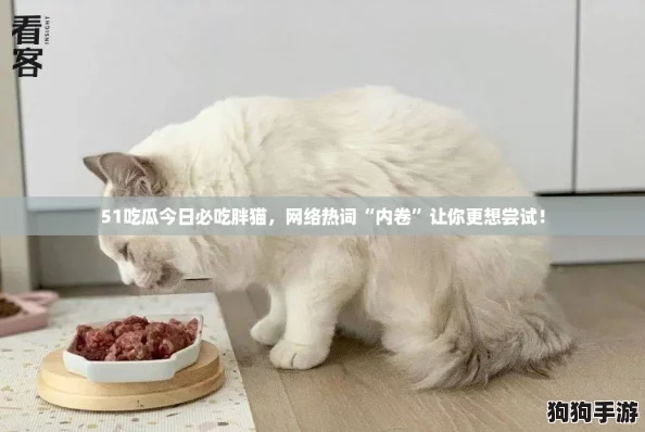 51吃瓜今日必吃胖猫，网络热词“内卷”让你更想尝试！