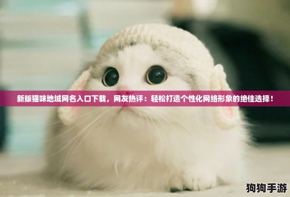 新版猫咪地域网名入口下载，网友热评：轻松打造个性化网络形象的绝佳选择！