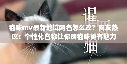猫咪mv最新地域网名怎么改？网友热议：个性化名称让你的猫咪更有魅力！