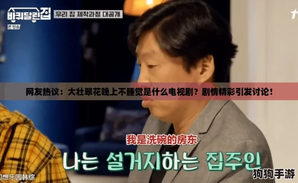 网友热议：大壮翠花晚上不睡觉是什么电视剧？剧情精彩引发讨论！
