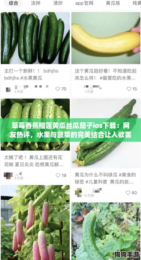 草莓香蕉榴莲黄瓜丝瓜茄子ios下载：网友热评，水果与蔬菜的完美结合让人欲罢不能！