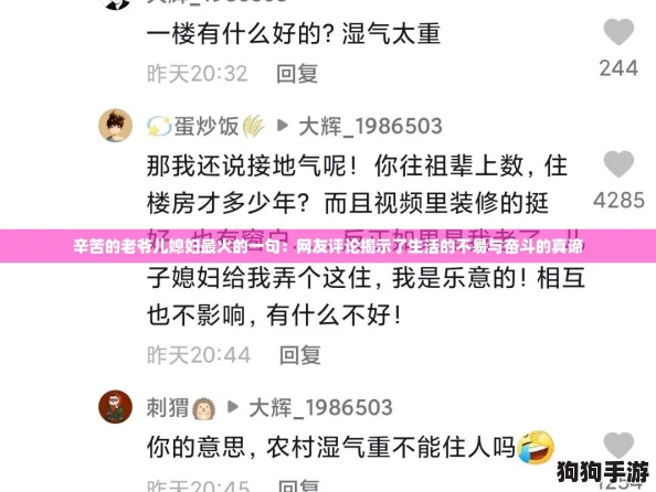 辛苦的老爷儿媳妇最火的一句：网友评论揭示了生活的不易与奋斗的真谛