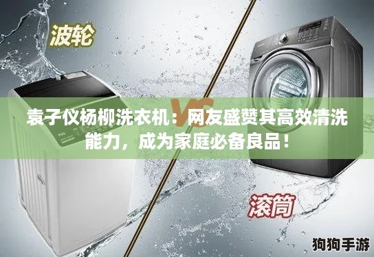 袁子仪杨柳洗衣机：网友盛赞其高效清洗能力，成为家庭必备良品！