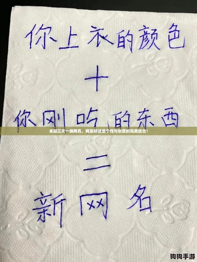 本站三天一换网名，网友称这是个性与创意的完美结合！