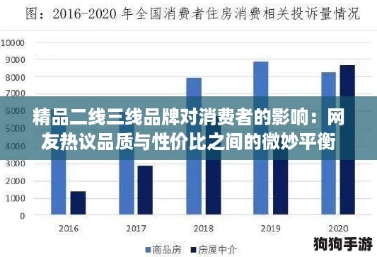 精品二线三线品牌对消费者的影响：网友热议品质与性价比之间的微妙平衡