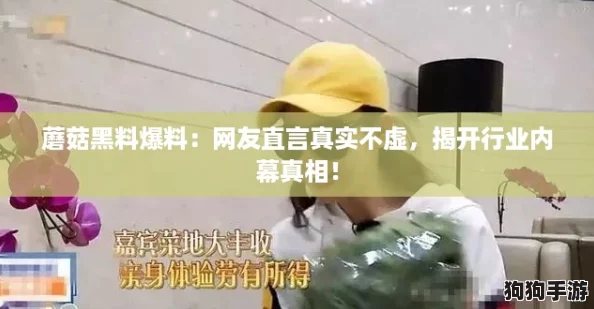 蘑菇黑料爆料：网友直言真实不虚，揭开行业内幕真相！