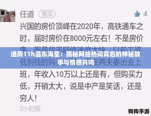 通房11h温东海堂：揭秘网络热词背后的神秘故事与情感共鸣