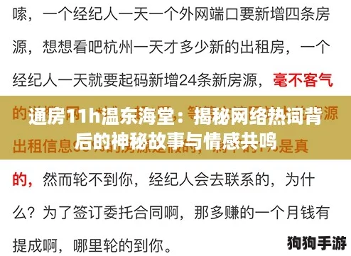 通房11h温东海堂：揭秘网络热词背后的神秘故事与情感共鸣