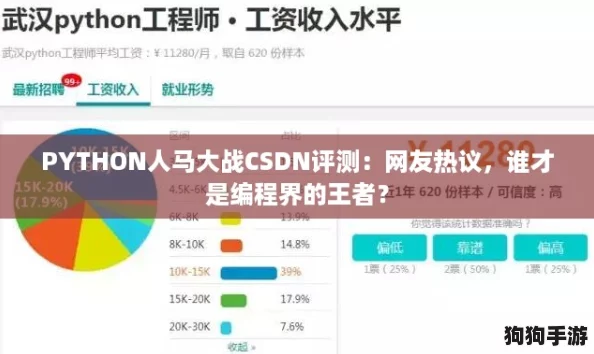 PYTHON人马大战CSDN评测：网友热议，谁才是编程界的王者？
